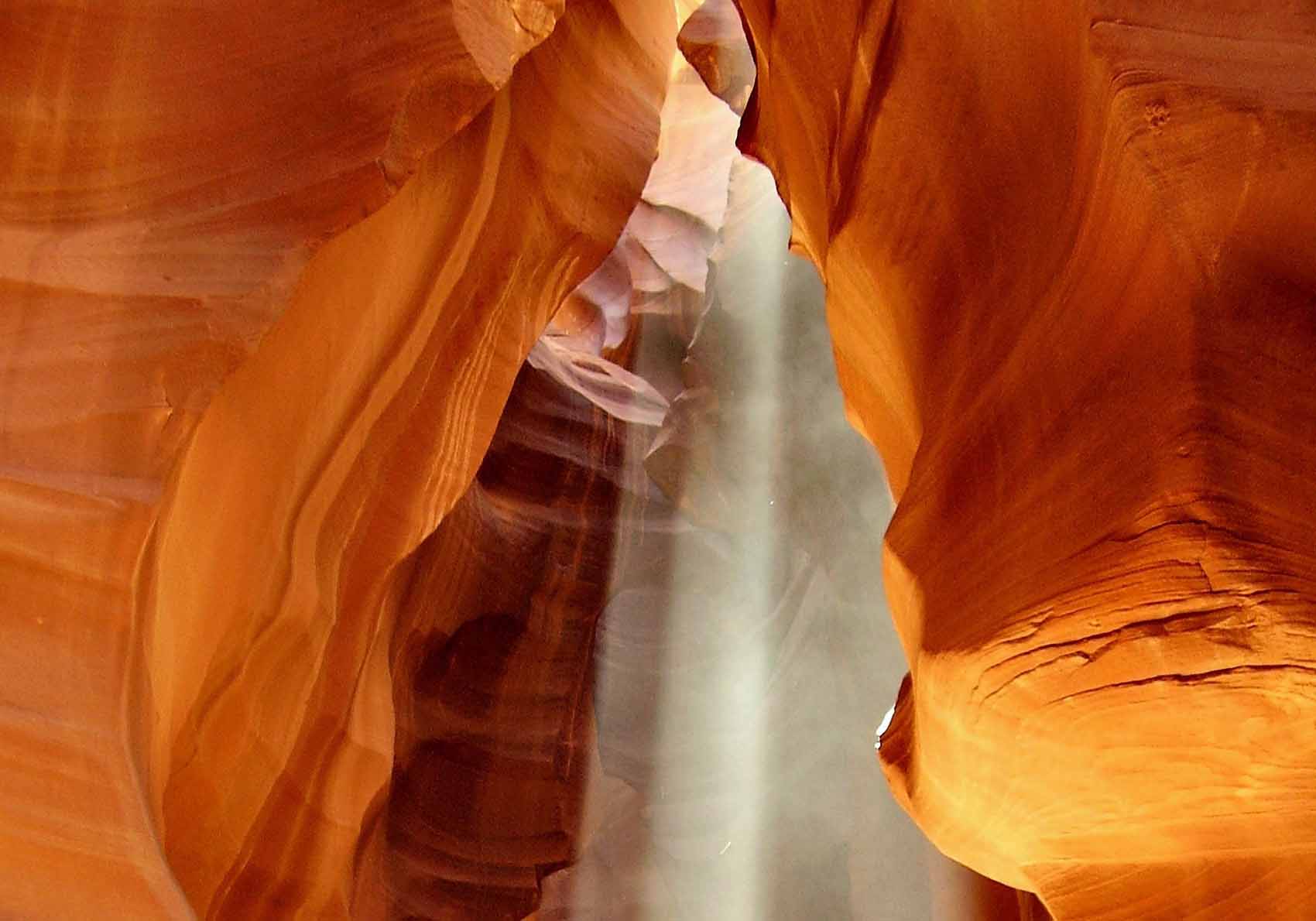 椰岛原浆酒性价比解析及四种香型白酒推荐