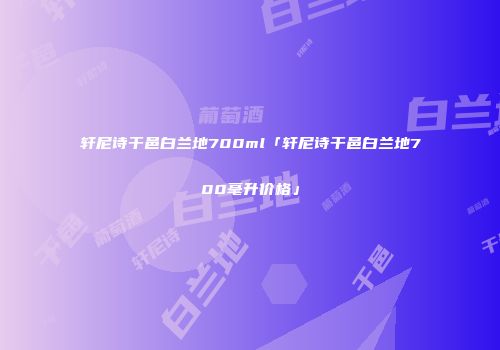 轩尼诗干邑白兰地700ml「轩尼诗干邑白兰地700毫升价格」