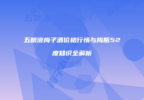 五粮液梅子酒价格行情与梅瓶52度知识全解析
